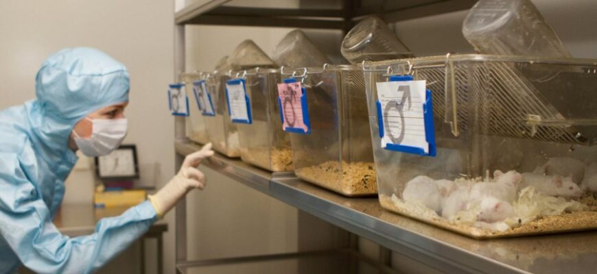 Вертеп: що це таке і як він впливає на українську культуру?