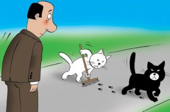 Гай: Визначення, Особливості та Роль у Екосистемі України