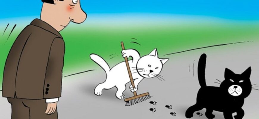 Гай: Визначення, Особливості та Роль у Екосистемі України