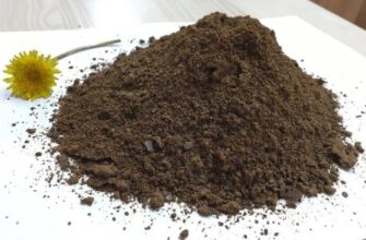 Зубний міст: що це таке, переваги процедури та встановлення