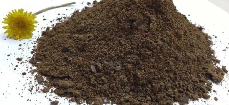 Зубний міст: що це таке, переваги процедури та встановлення