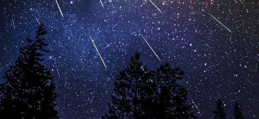 Сучасні детективи: визначення жанру, особливості та ключові елементи