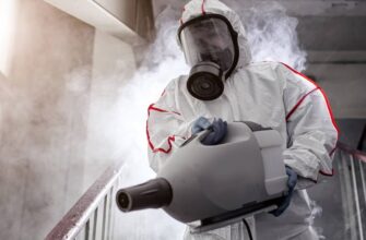 Захист дому і бізнесу: від боротьби з мурахами до системи HACCP