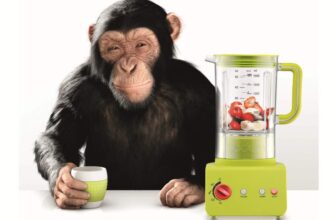 Як обрати ідеальну чашу для блендера: поради та рекомендації