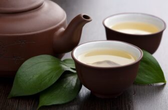 Готуємо ідеальний зелений чай: секрети заварювання для початківців