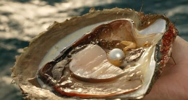 Як утворюється перлина: процес природного створення та формування