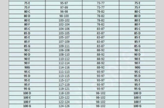 Як обрати правильний бюстгальтер: що означає розмір 85С грудей?