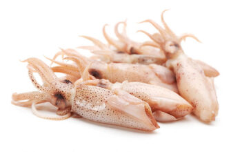 Кальмари: вивчення харчових цінностей, користі та приготування страв