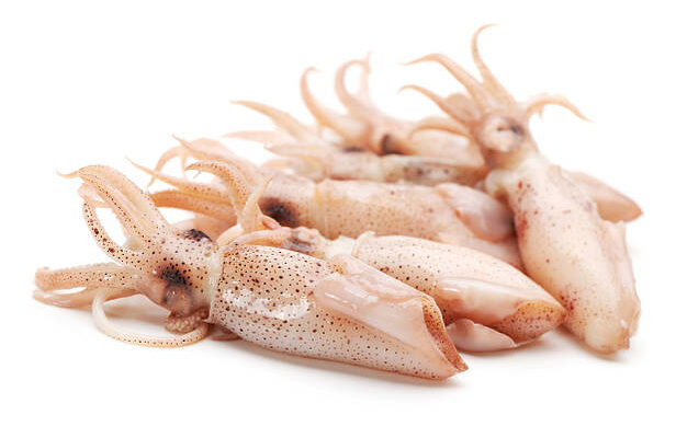 Кальмари: вивчення харчових цінностей, користі та приготування страв