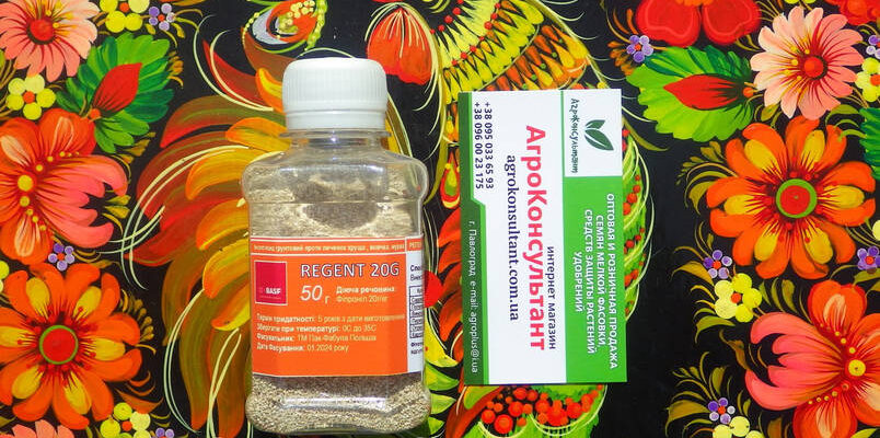 Регент: Хто Це Та Яка Його Роль у Владі та Культурі України