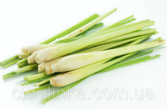 Лемонграс: користь, використання та вплив на здоров’я людини