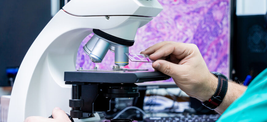 Гістологічне дослідження: ключ до розуміння тканин і здоров’я людини