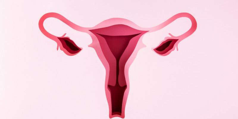 Гідросальпінкс: причини, симптоми та методи лікування захворювання