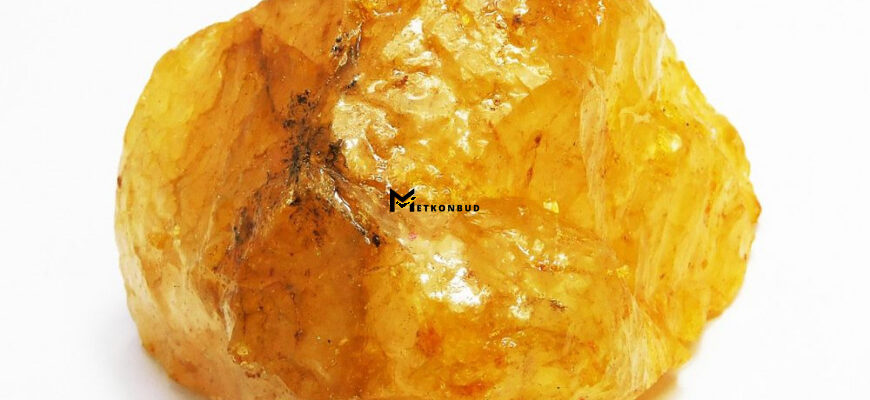 Каніфоль: властивості, застосування та користь у різних сферах Каніфоль: властивості, застосування та користь у різних сферах