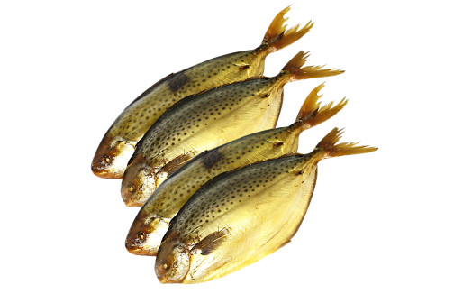 Провісна скумбрія: що це таке та чому вона популярна в Україні