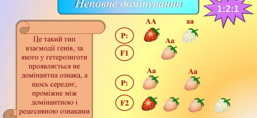 Що таке АА: Все, що потрібно знати про Анонімних Алкоголіків