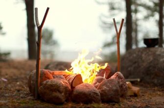 Яке дерево обрати для багаття: найкращі породи для тривалого горіння