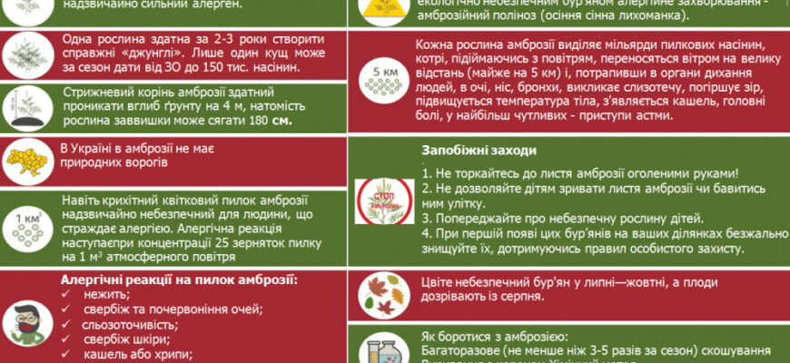 “Ефективні методи порятунку від алергії на цвітіння: поради та рекомендації”