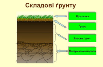 Відмінності ґрунтових горизонтів: детальний аналіз для кожного шару