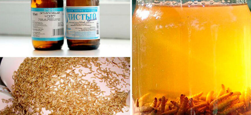 Правильний прийом настоянок: інструкція по безпечному застосуванню