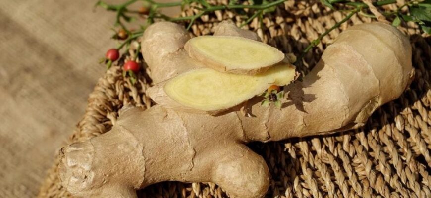 Для чого вживати імбир із цукром: користь та особливості споживання