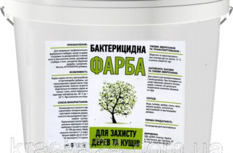 Оптимальний вибір фарби: Яка фарба довше тримається на дерев’яній поверхні?