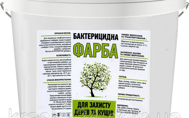 Оптимальний вибір фарби: Яка фарба довше тримається на дерев’яній поверхні?
