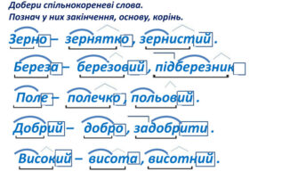 Як визначити корінь слова: прості поради для аналізу слів в українській мові