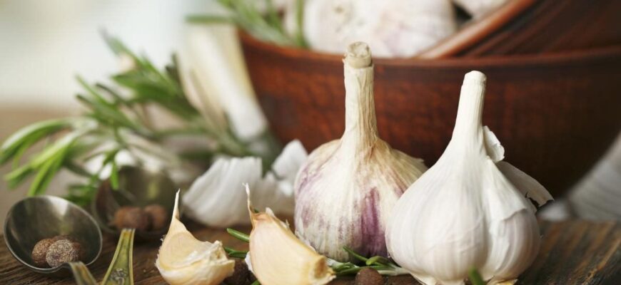 Коли і як правильно збирати часник у липні: поради і рекомендації