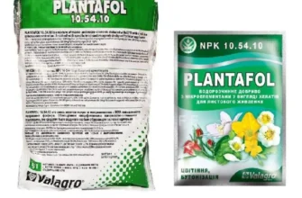 Як правильно застосовувати Плантафід 10 54 10 для оптимального врожаю