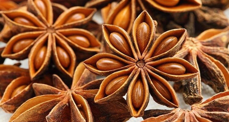 Як правильно приймати відвар анісу: поради і рекомендації