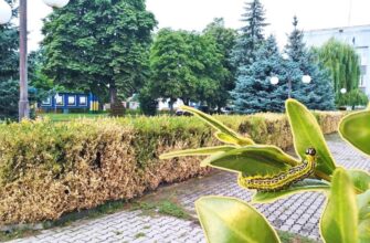 Як ефективно та назавжди позбутися вогнівки: докладний гайд