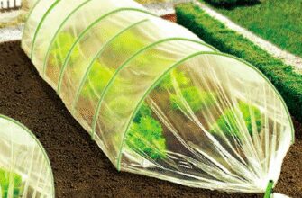 Оптимальна довжина дуги у теплиці: скільки метрів достатньо?