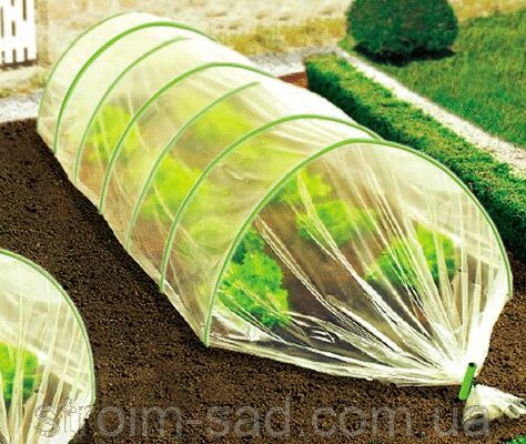 Оптимальна довжина дуги у теплиці: скільки метрів достатньо?