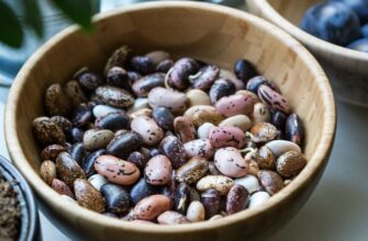 Ефективні методи швидкого замочування квасолі для вас