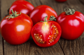 Ефективні способи позбутися білих прожилок у помідорах: покрокова інструкція