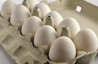 Ефективне знищення сальмонели при варінні яєць: оптимальний час і температура