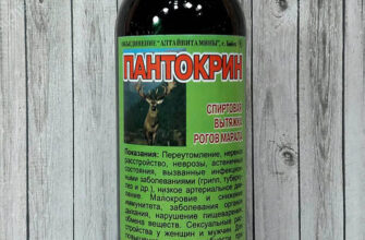 Що лікує настоянка пантів марала: корисні властивості та застосування