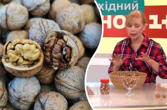 Як правильно зберігати очищені горіхи вдома: поради та рекомендації