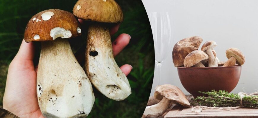 Скільки хвилин варити гриби після закипання: поради та рекомендації