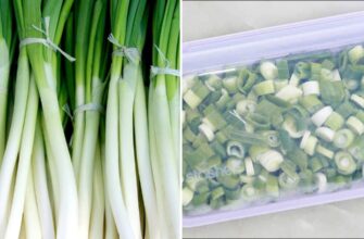 Чи можна заморожувати сиру цибулю: поради та рекомендації експертів