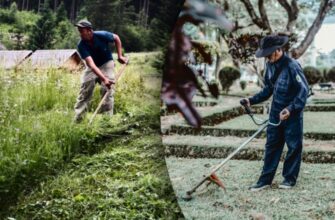 Чи варто косити траву наприкінці жовтня: поради та рекомендації