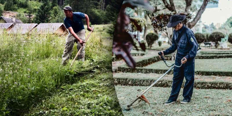 Чи варто косити траву наприкінці жовтня: поради та рекомендації