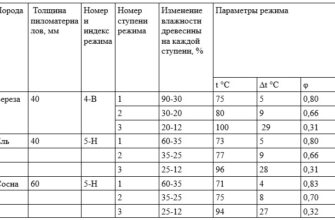 Час висихання деревини після дощу: оптимальні умови та поради