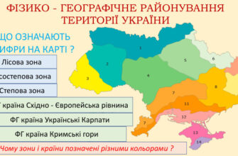 Яка природна зона охоплює найбільшу територію Росії: тундра або тайга?