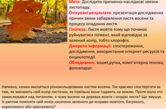 Чому листя з верхівок дерев опадає останнім: наукове пояснення