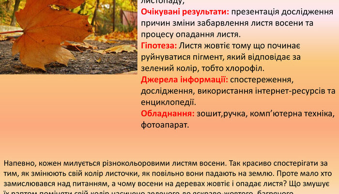 Чому листя з верхівок дерев опадає останнім: наукове пояснення