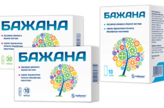 Оптимальний спосіб вживання пребіотиків: як пити правильно для здоров’я