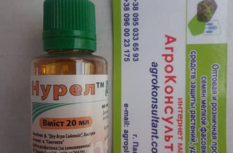 Що таке Нурел: визначення, використання та переваги препарату