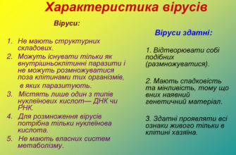 Ознаки вірусу: як розпізнати симптоми та захистити себе